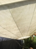 Bilder_31