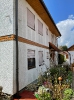 Bilder_79