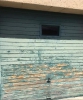 Bilder_85