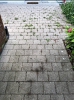 Bilder_87